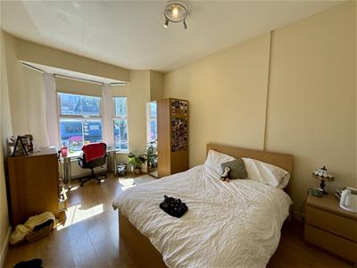 Picture 8